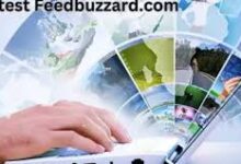 latest feedbuzzard com
